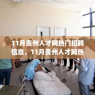 11月贵州人才网热门招聘信息，职场机遇与挑战一览
