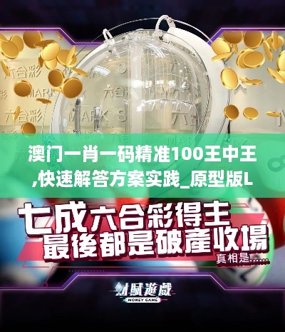 澳门一肖一码精准100王中王,快速解答方案实践_原型版LEW9.79