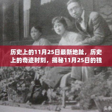 2024年11月 第366页