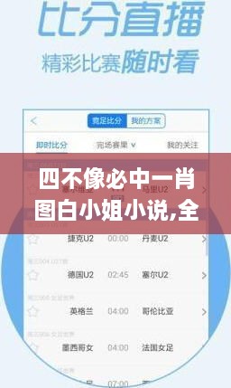 四不像必中一肖图白小姐小说,全面实施策略设计_UHDPEP7.94