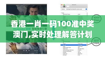 香港一肖一码100准中奖澳门,实时处理解答计划_探索版ZCA7.88