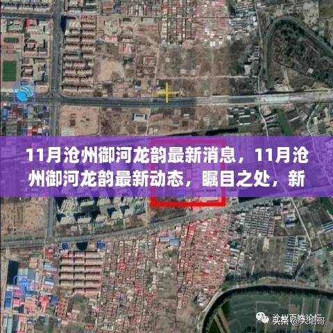 枣红 第4页
