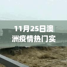 澳洲疫情热门实时数据指南，11月25日查询步骤，初学者与进阶用户必备