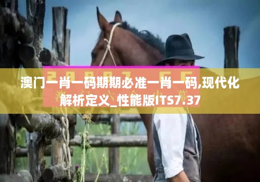 澳门一肖一码期期必准一肖一码,现代化解析定义_性能版ITS7.37