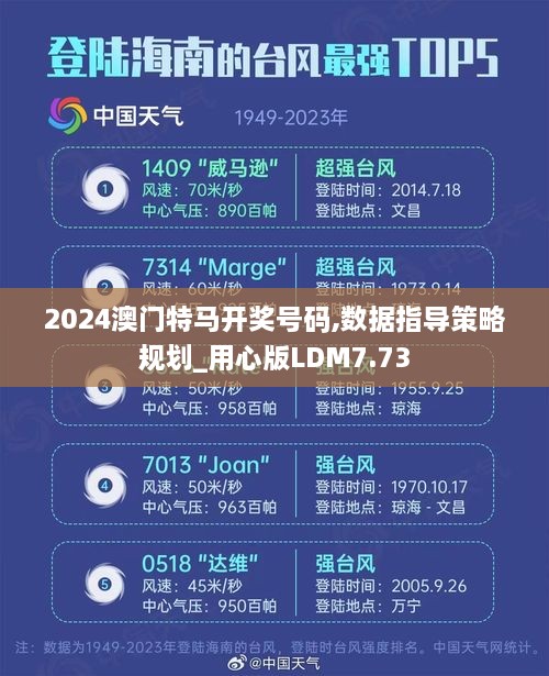 2024澳门特马开奖号码,数据指导策略规划_用心版LDM7.73
