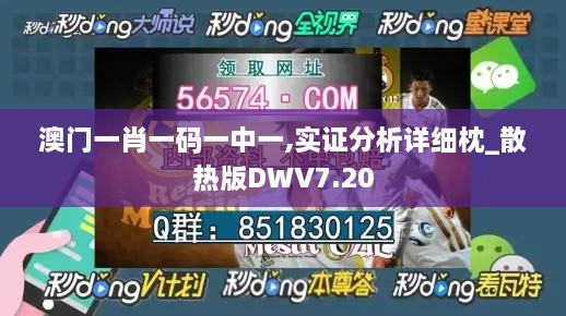 澳门一肖一码一中一,实证分析详细枕_散热版DWV7.20