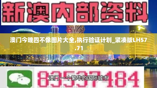 澳门今晚四不像图片大全,执行验证计划_紧凑版LHS7.71