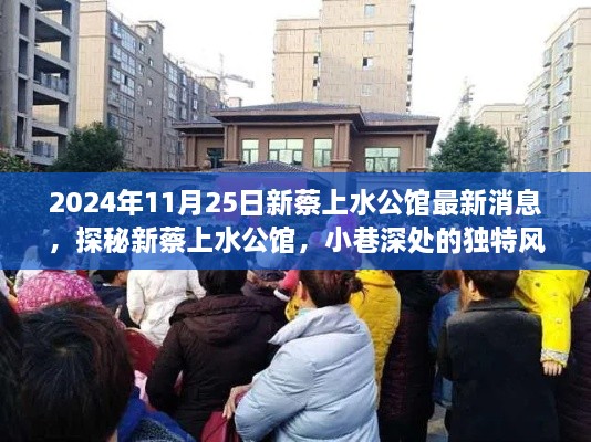 2024年11月揭秘，新蔡上水公馆最新消息与小巷深处的独特风味