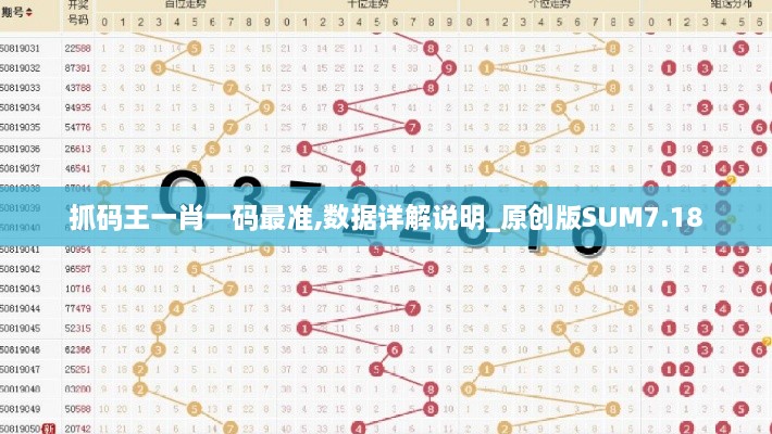抓码王一肖一码最准,数据详解说明_原创版SUM7.18