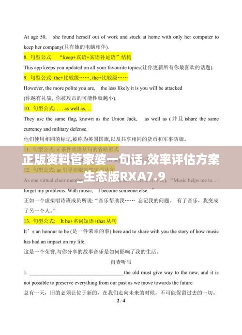 正版资料管家婆一句话,效率评估方案_生态版RXA7.9