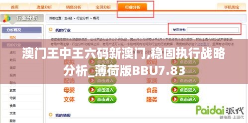 澳门王中王六码新澳门,稳固执行战略分析_薄荷版BBU7.83