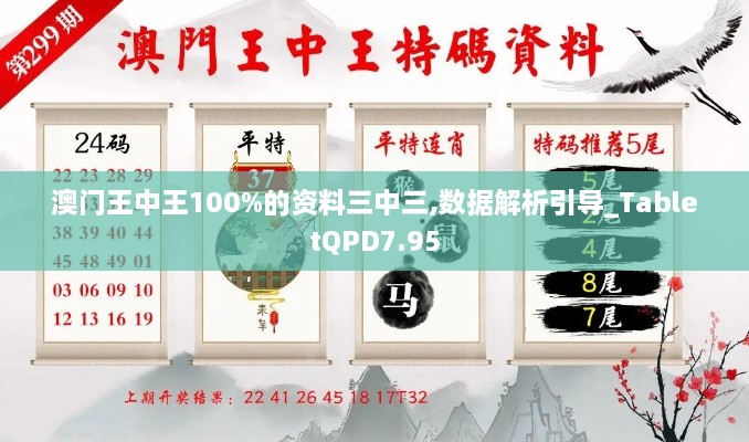 澳门王中王100%的资料三中三,数据解析引导_TabletQPD7.95