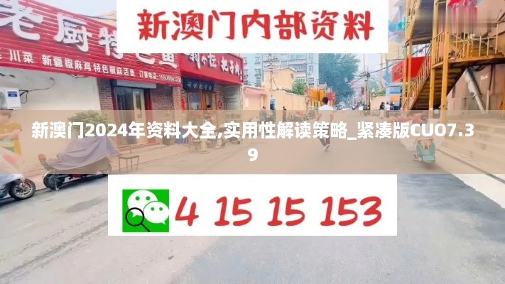 新澳门2024年资料大全,实用性解读策略_紧凑版CUO7.39