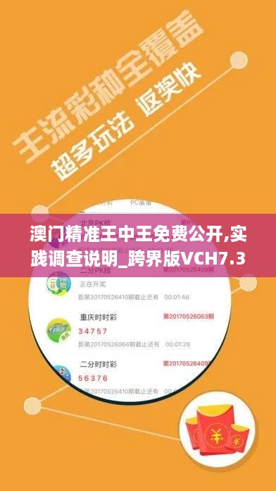 澳门精准王中王免费公开,实践调查说明_跨界版VCH7.39