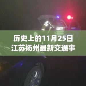 历史上的11月25日江苏扬州交通事故深度解析与多方观点碰撞