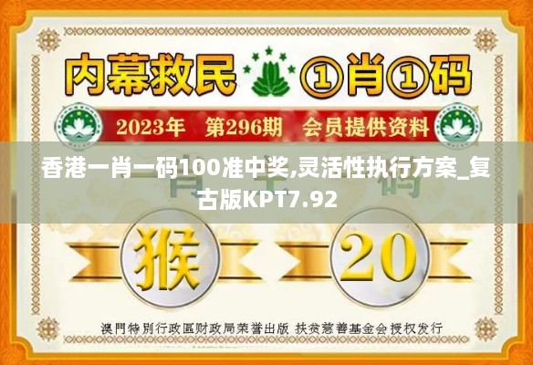 香港一肖一码100准中奖,灵活性执行方案_复古版KPT7.92