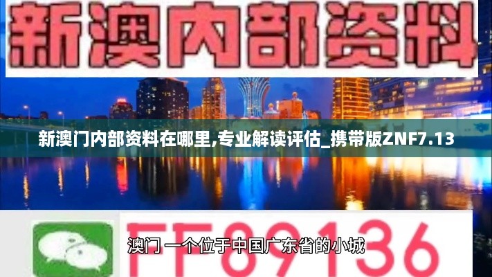新澳门内部资料在哪里,专业解读评估_携带版ZNF7.13