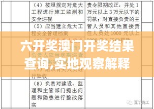 六开奖澳门开奖结果查询,实地观察解释定义_媒体版XUB7.18