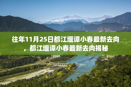 都江堰谭小春最新去向揭秘，最新更新动向及动向分析