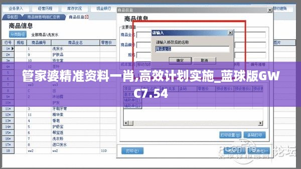 管家婆精准资料一肖,高效计划实施_蓝球版GWC7.54