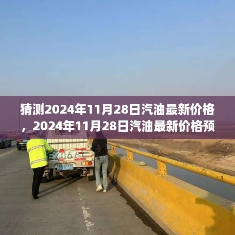 2024年11月 第246页