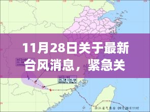 走马观花 第3页