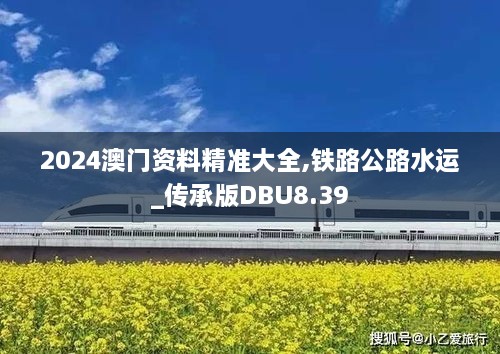 2024澳门资料精准大全,铁路公路水运_传承版DBU8.39