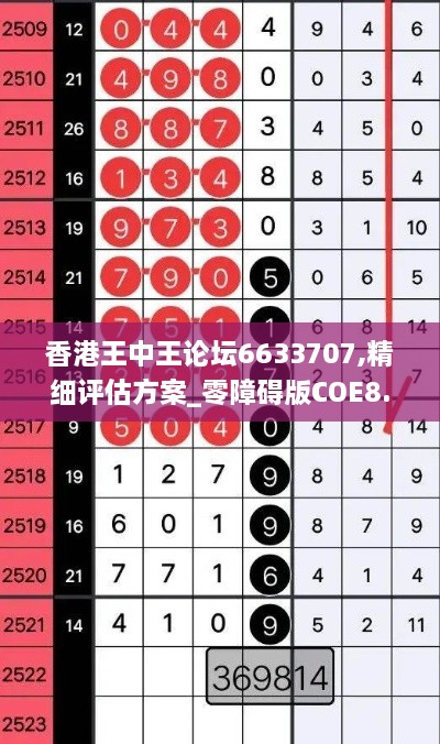 香港王中王论坛6633707,精细评估方案_零障碍版COE8.22