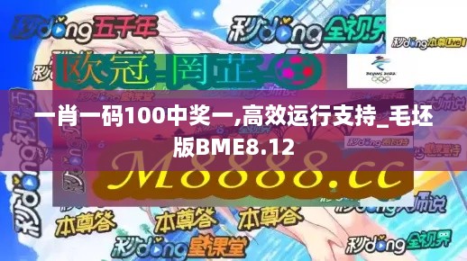 一肖一码100中奖一,高效运行支持_毛坯版BME8.12