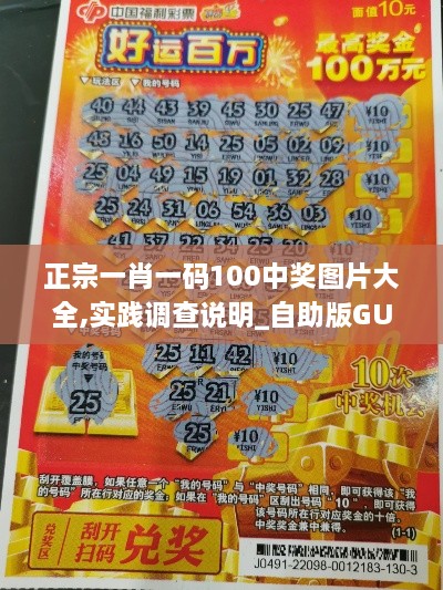 正宗一肖一码100中奖图片大全,实践调查说明_自助版GUR8.97