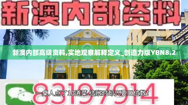 新澳内部高级资料,实地观察解释定义_创造力版YBN8.2