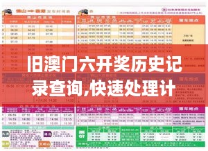 旧澳门六开奖历史记录查询,快速处理计划_视频版TZL4.59