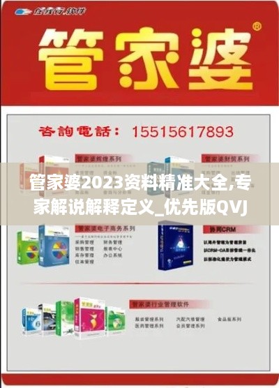 管家婆2023资料精准大全,专家解说解释定义_优先版QVJ8.29
