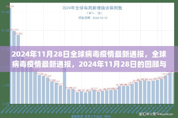 全球病毒疫情最新通报，回顾与展望 2024年11月28日