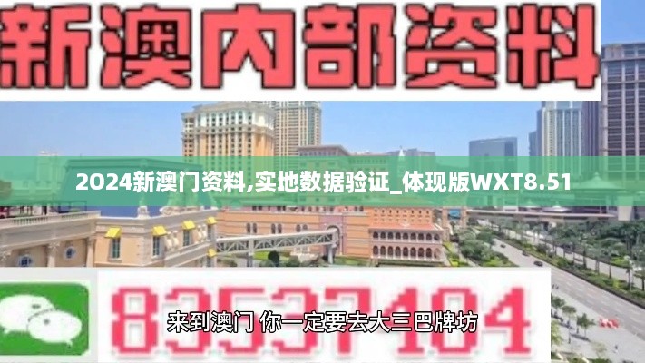 2O24新澳门资料,实地数据验证_体现版WXT8.51