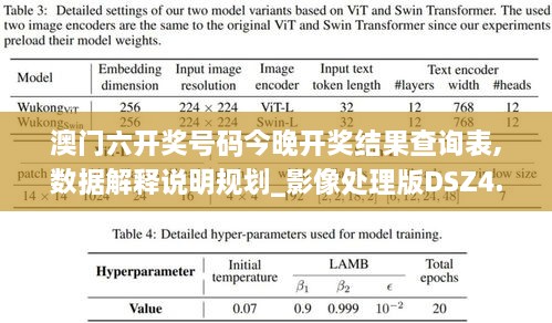 澳门六开奖号码今晚开奖结果查询表,数据解释说明规划_影像处理版DSZ4.43