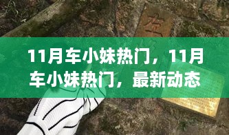 鸟语花香 第3页