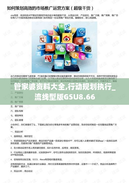 管家婆资料大全,行动规划执行_流线型版GSU8.66