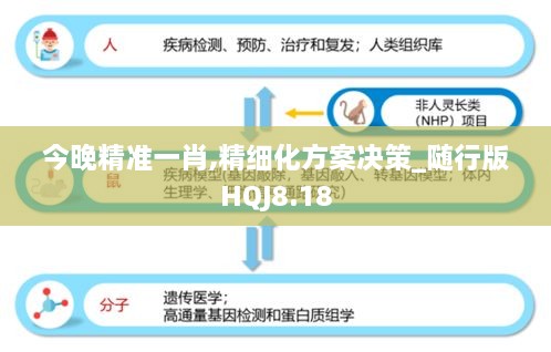 今晚精准一肖,精细化方案决策_随行版HQJ8.18