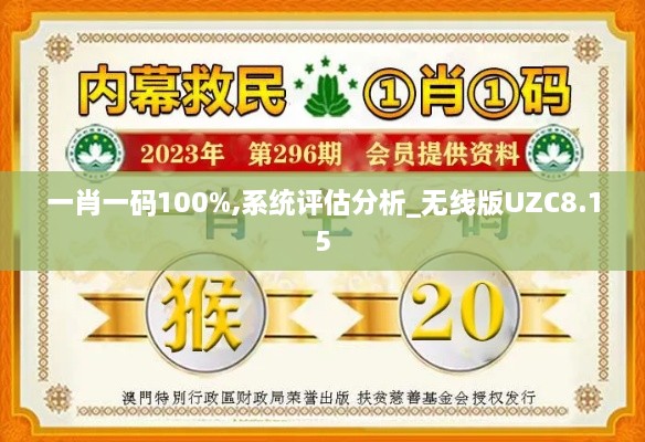 一肖一码100%,系统评估分析_无线版UZC8.15