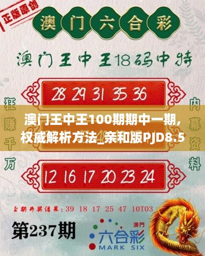 澳门王中王100期期中一期,权威解析方法_亲和版PJD8.50