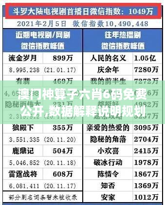 澳门神算子六肖6码免费公开,数据解释说明规划_本地版DNP8.53