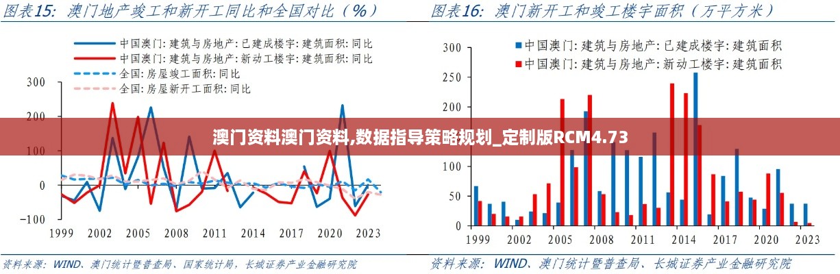澳门资料澳门资料,数据指导策略规划_定制版RCM4.73