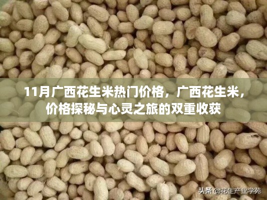 jianbanuzhang 第3页