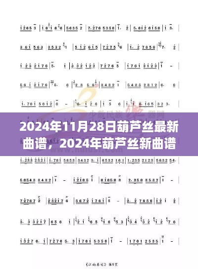 2024年葫芦丝最新曲谱，悠扬情感流淌的评测