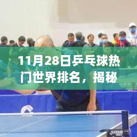 揭秘乒乓球世界排名，聚焦十一月二十八日赛场风云，最新排名揭晓！
