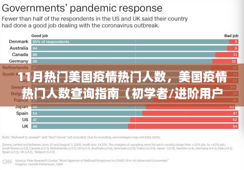 美国疫情热门人数详解，从初学者到进阶用户的查询指南（11月疫情数据报告）