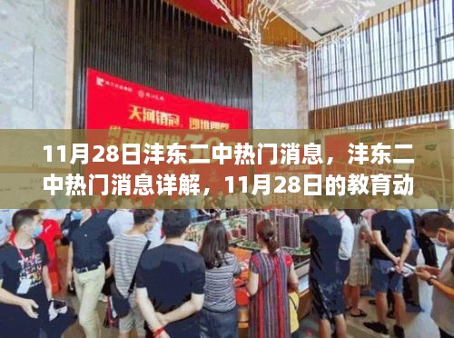 11月28日沣东二中热门消息详解，教育动态与热点透视