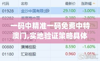 一码中精准一码免费中特澳门,实地验证策略具体_业界版CMY27.413