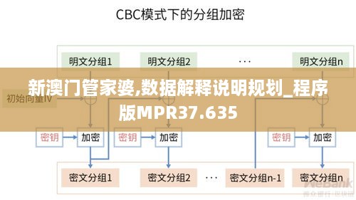 新澳门管家婆,数据解释说明规划_程序版MPR37.635